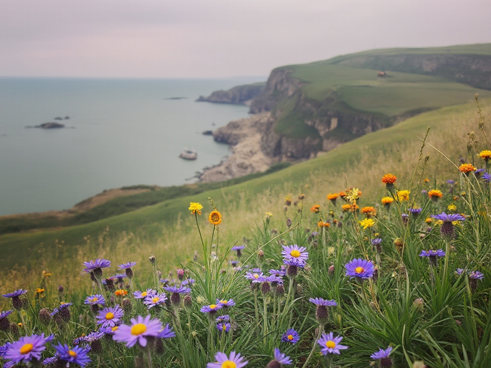 A guide to getting married in East Sussex